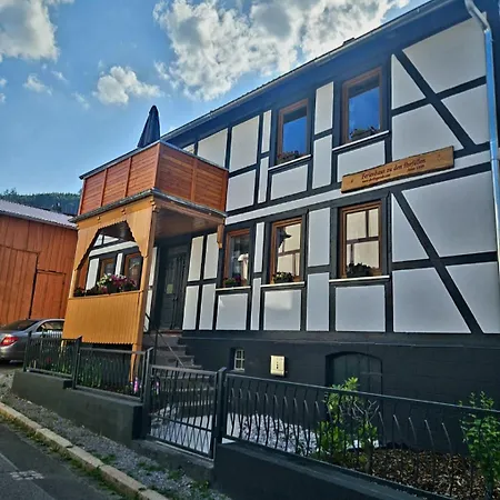 Ferienwohnung Zu Den Ilsefaellen I Ilsenburg Exterior photo